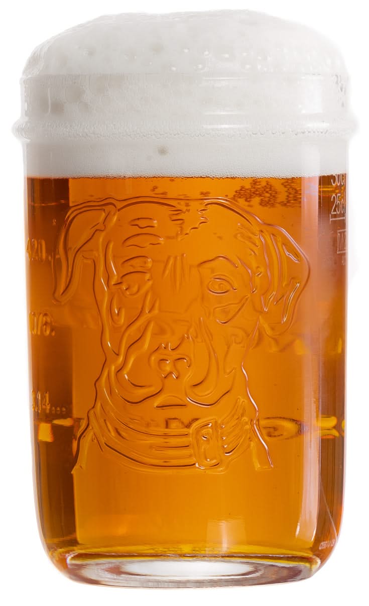 Lagunitas Biergläser 300 ml - 2 Stück