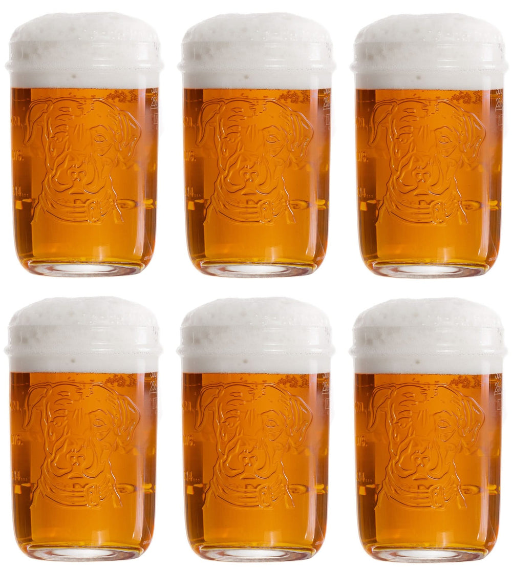 Lagunitas Biergläser 300 ml - 6 Stück