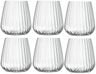 Luigi Bormioli Wassergläser - Trinkgläser - Speakeasies - 450 ml - 6er-Set