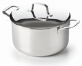 Beka Kochtopf Maestro RVS mit Deckel ø 24 cm / 5,1 Liter - geeignet für alle Wärmequellen