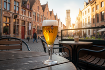 Brugse Zot Biergläser 330 ml - 2 Stück