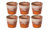 Costa Nova Espresso Tassen Casafina Poterie Caramel-Latte 80 ml - 6 Stück