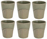 Cosy & Trendy Cappuccino Becher Bistro Thyme Green 290 ml - 6 Stück