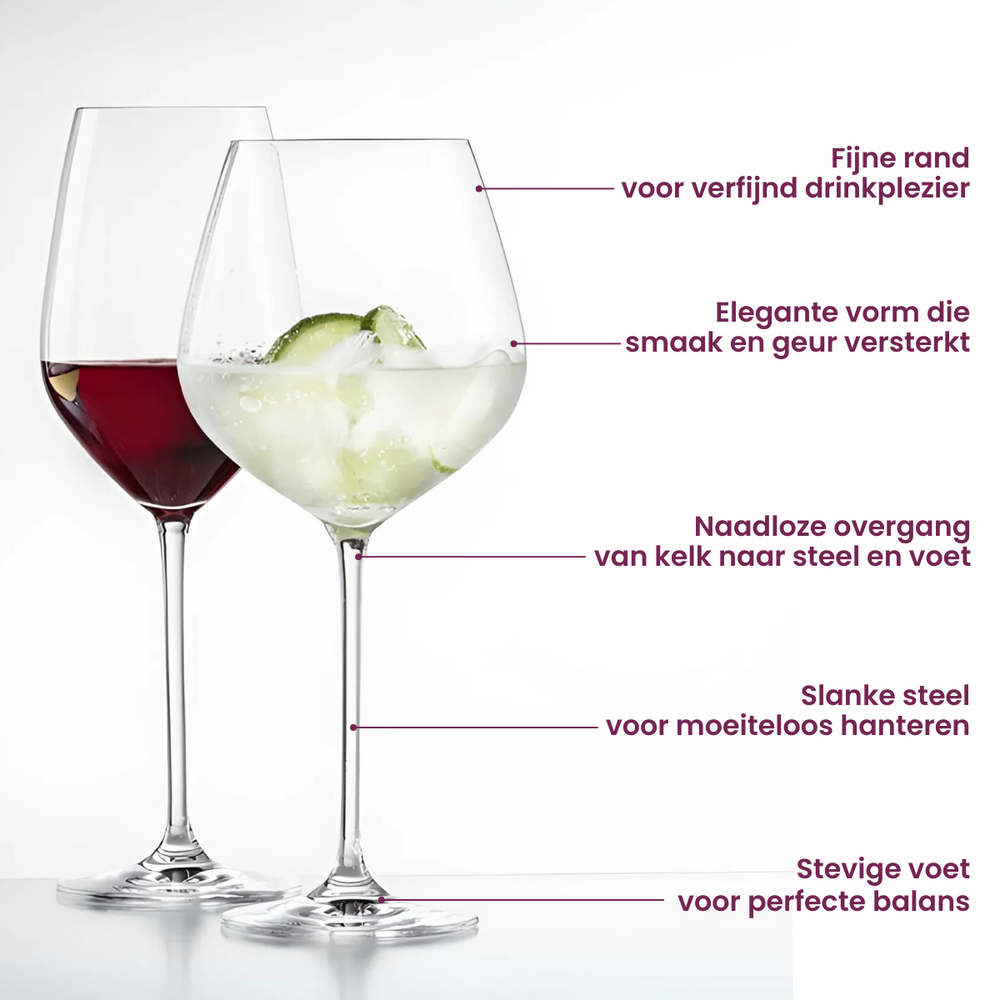 Schott Zwiesel Weingläser-Set Fortissimo 12-teilig - Weißweingläser, Rotweingläser & Burgundergläser