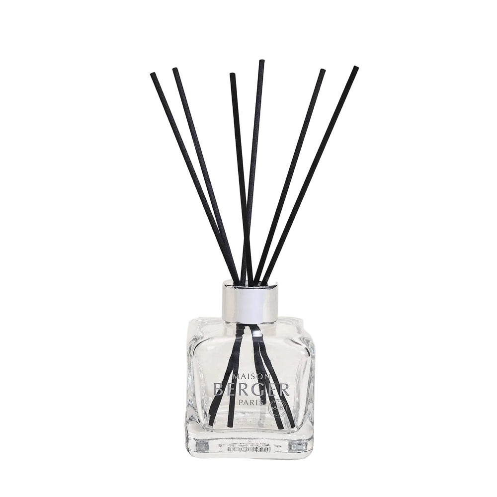 Maison Berger Duftstäbchen Glas 100 ml - Raumduft - Cube Sweet Grapefruit