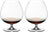 Riedel Cognac Gläser Vinum - 2 Stück
