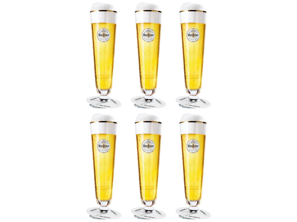 Warsteiner Biergläser mit Fuß 300 ml - 6 Stück