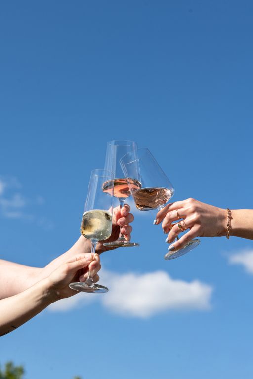 Schott Zwiesel Rote, Weiße und Champagnergläser MioVino - 12-teilig