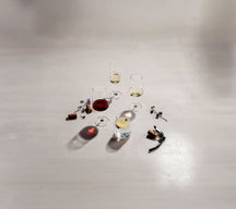 Schott Zwiesel Rote, Weiße und Champagnergläser MioVino - 12-teilig