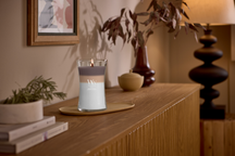 WoodWick Duftkerze Large Trilogy Radiant Cashmere - 18 cm / ø 10 cm - Duftkerze im Glas - Holzdocht