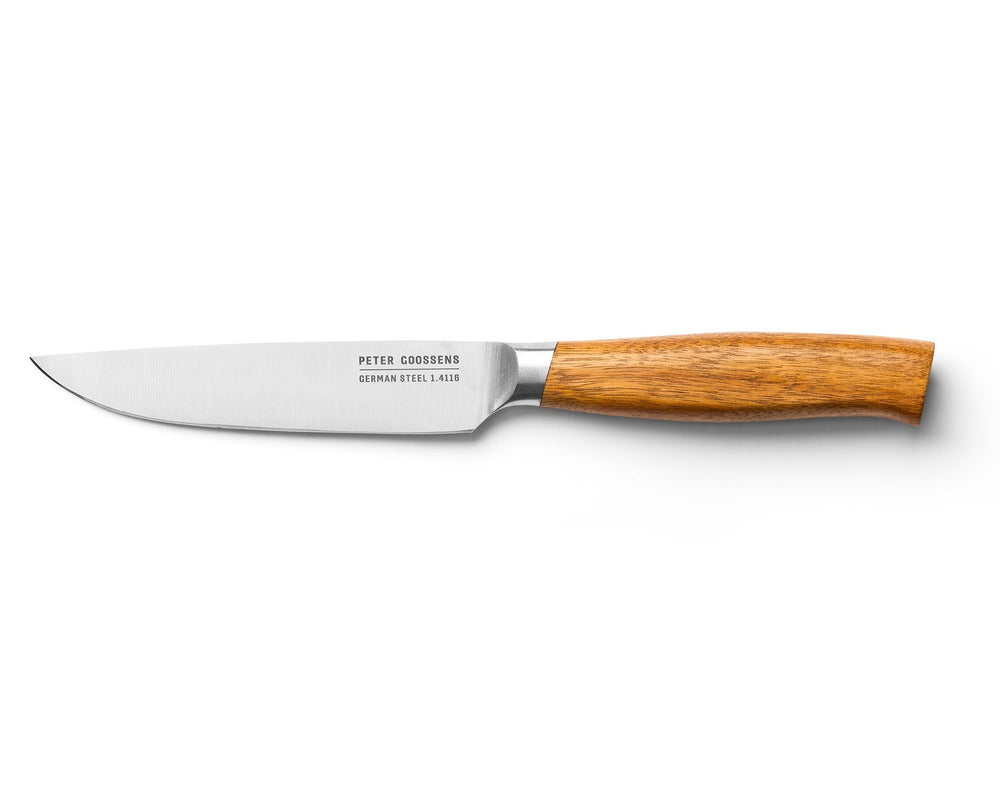 BK Steakmessen met Messenblok Peter Goossens Maestro - 6 stuks - steakmes