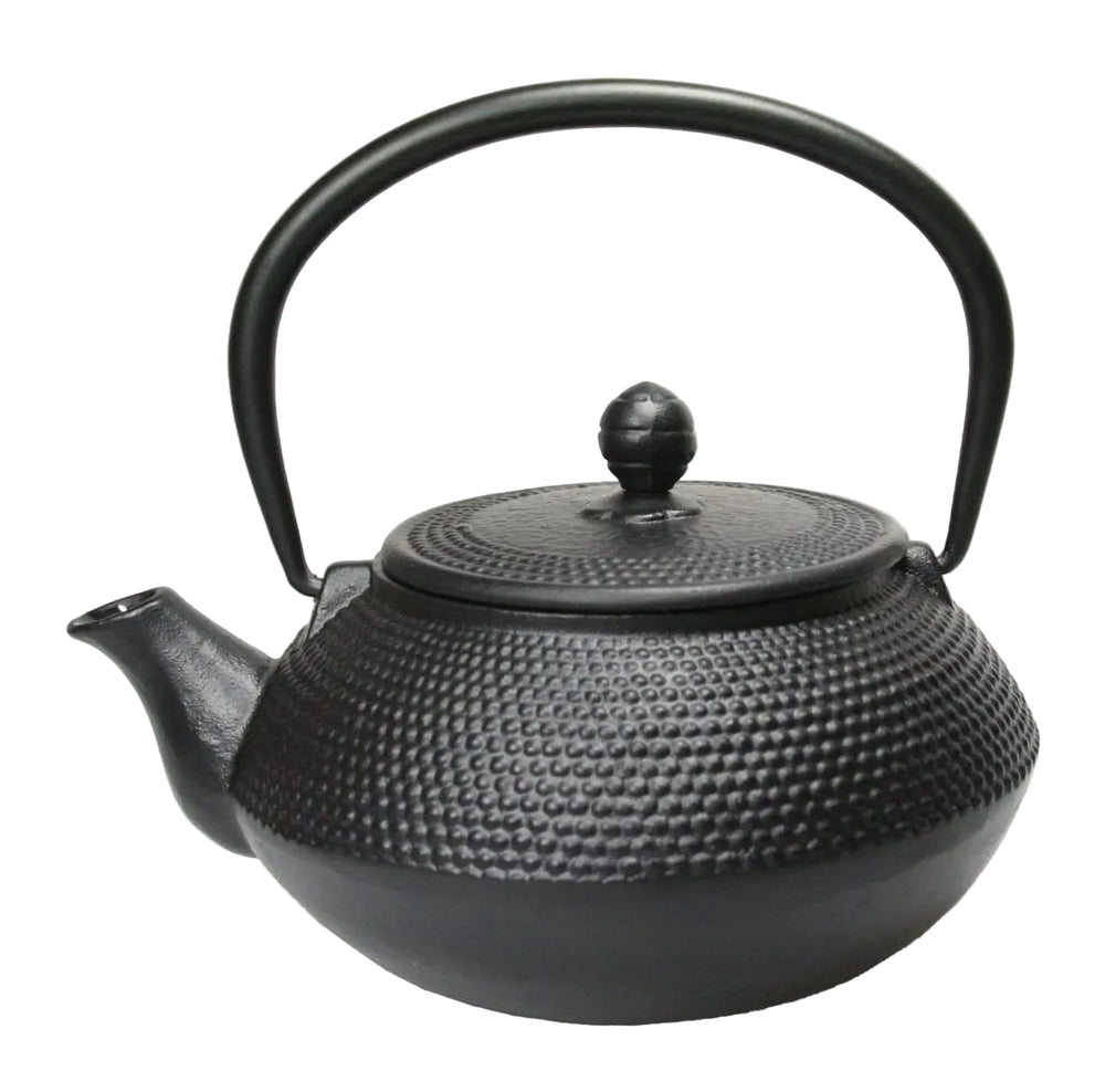 Cookinglife Teekanne Arare mit Edelstahlfilter - Gusseisen Schwarz - 800 ml