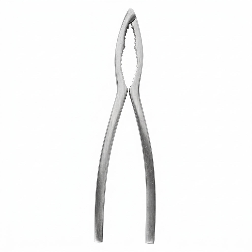 Lucifers Hammer 新品 ブラックメタル Crafts La Marée Hummerzange Edelstahl 15,7 cm | Cookinglife