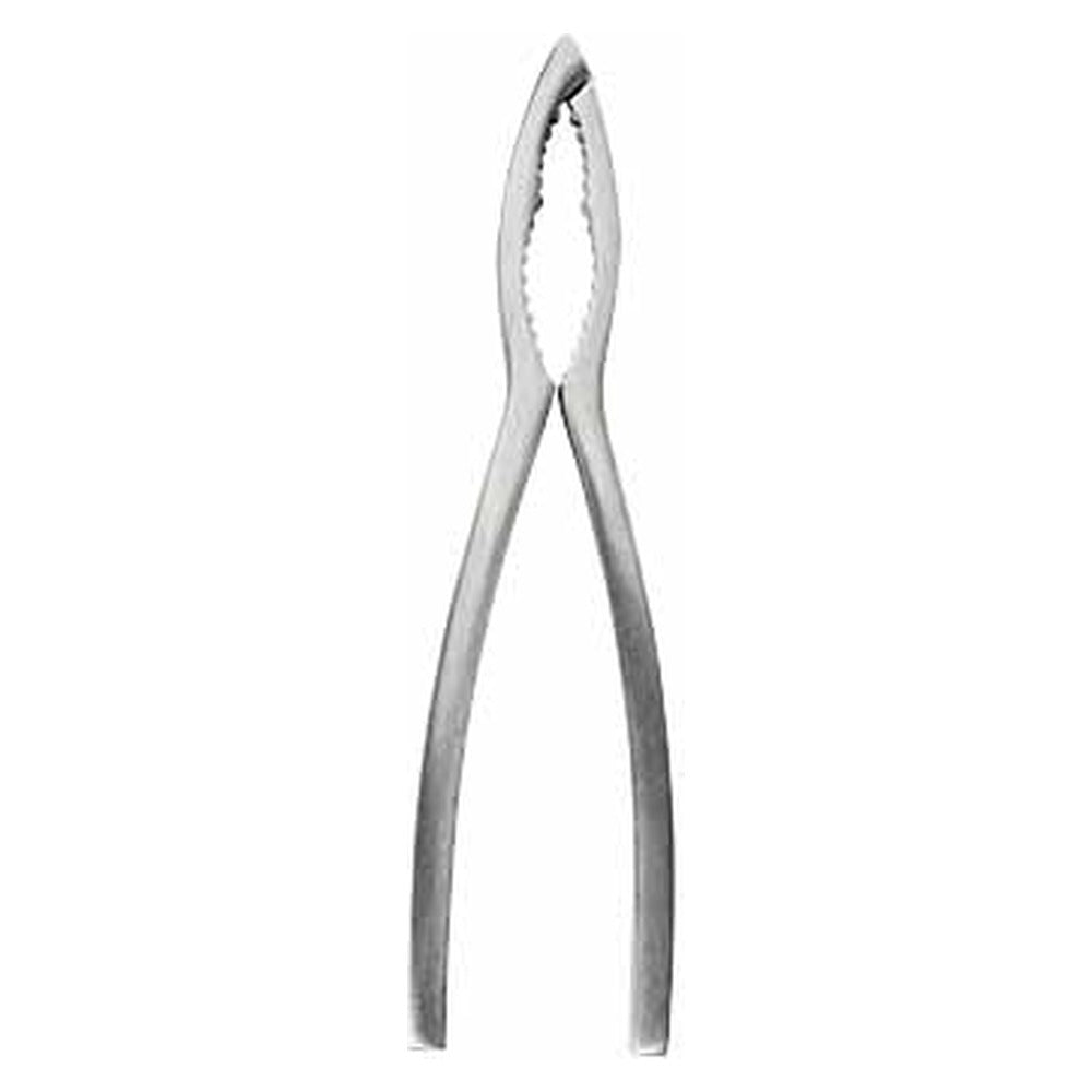 Crafts La Marée Kreeftentang RVS - 15.7 cm