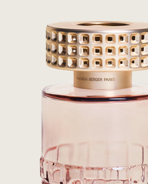 Maison Berger Giftset - Geurbrander - Celebration Nude - Hypnotic Oud - 250 ml - detail 1