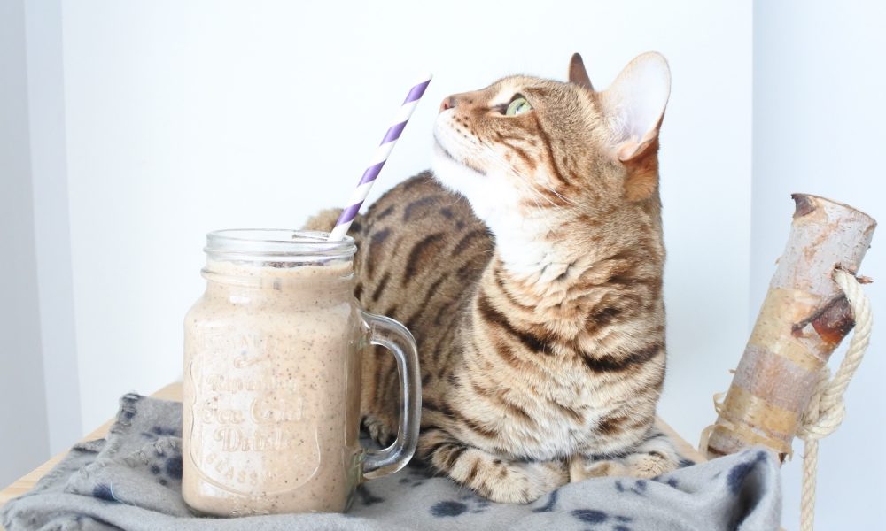 Ein cremiger Smoothie mit Erdnussbutter, Banane und Kakao