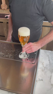 Brugse Zot Biergläser 330 ml - 2 Stück