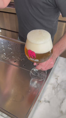 Delirium Biergläser mit Fuß 330 ml - 4 Stück