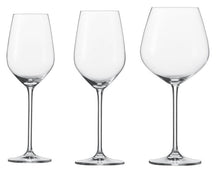 Schott Zwiesel Wijnglazenset Fortissimo 12-delig - Witte Wijnglazen, Rode Wijnglazen & Bourgogneglazen - drie glazen