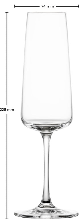 Schott Zwiesel Rote, Weiße und Champagnergläser MioVino - 12-teilig
