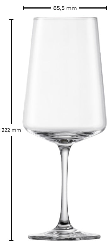 Schott Zwiesel Rote, Weiße und Champagnergläser MioVino - 12-teilig