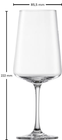 Schott Zwiesel Rote, Weiße und Champagnergläser MioVino - 12-teilig