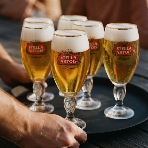 Stella Artois Biergläser - Chalice - 250 ml - 6 Stück